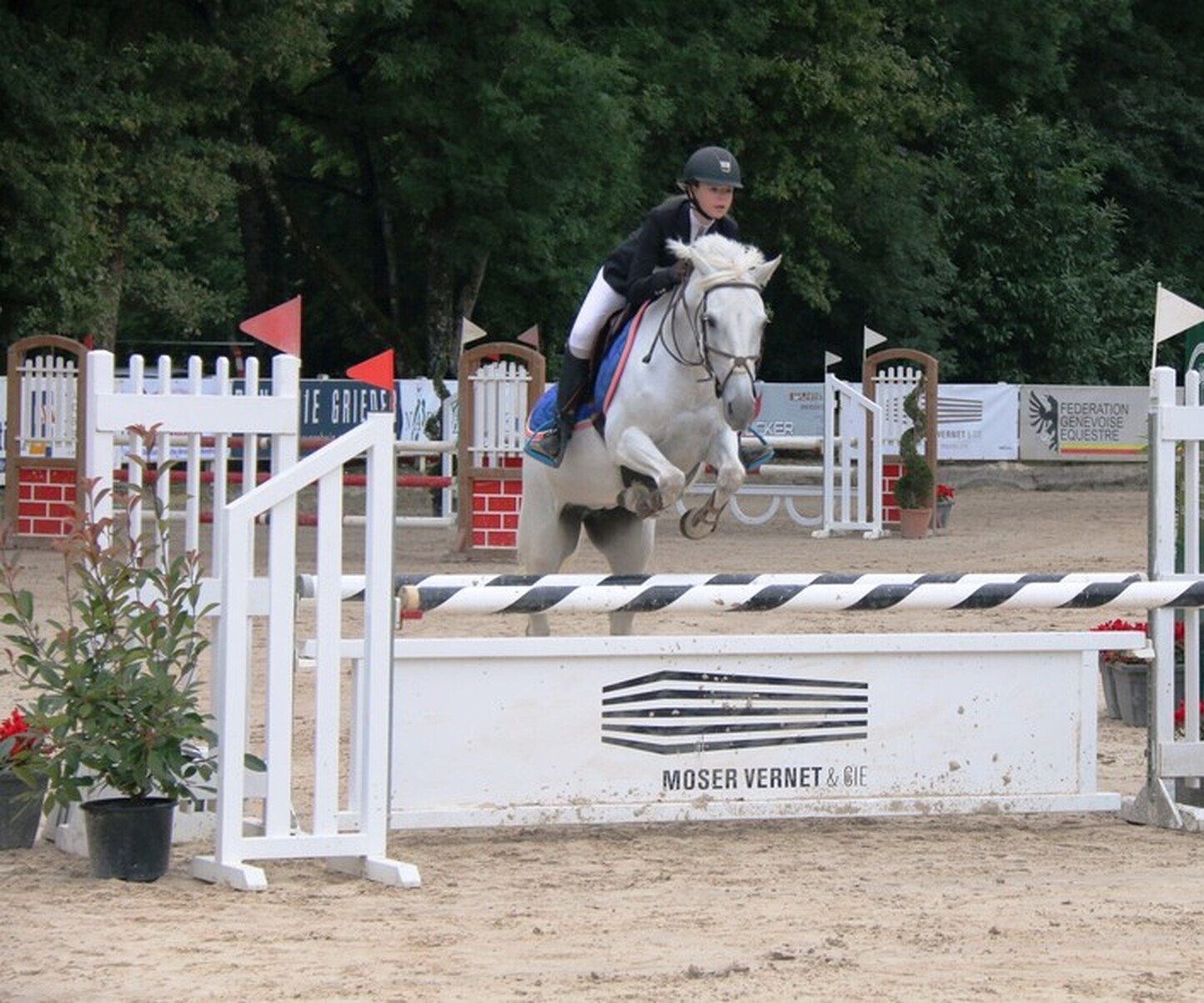 Description de l'image