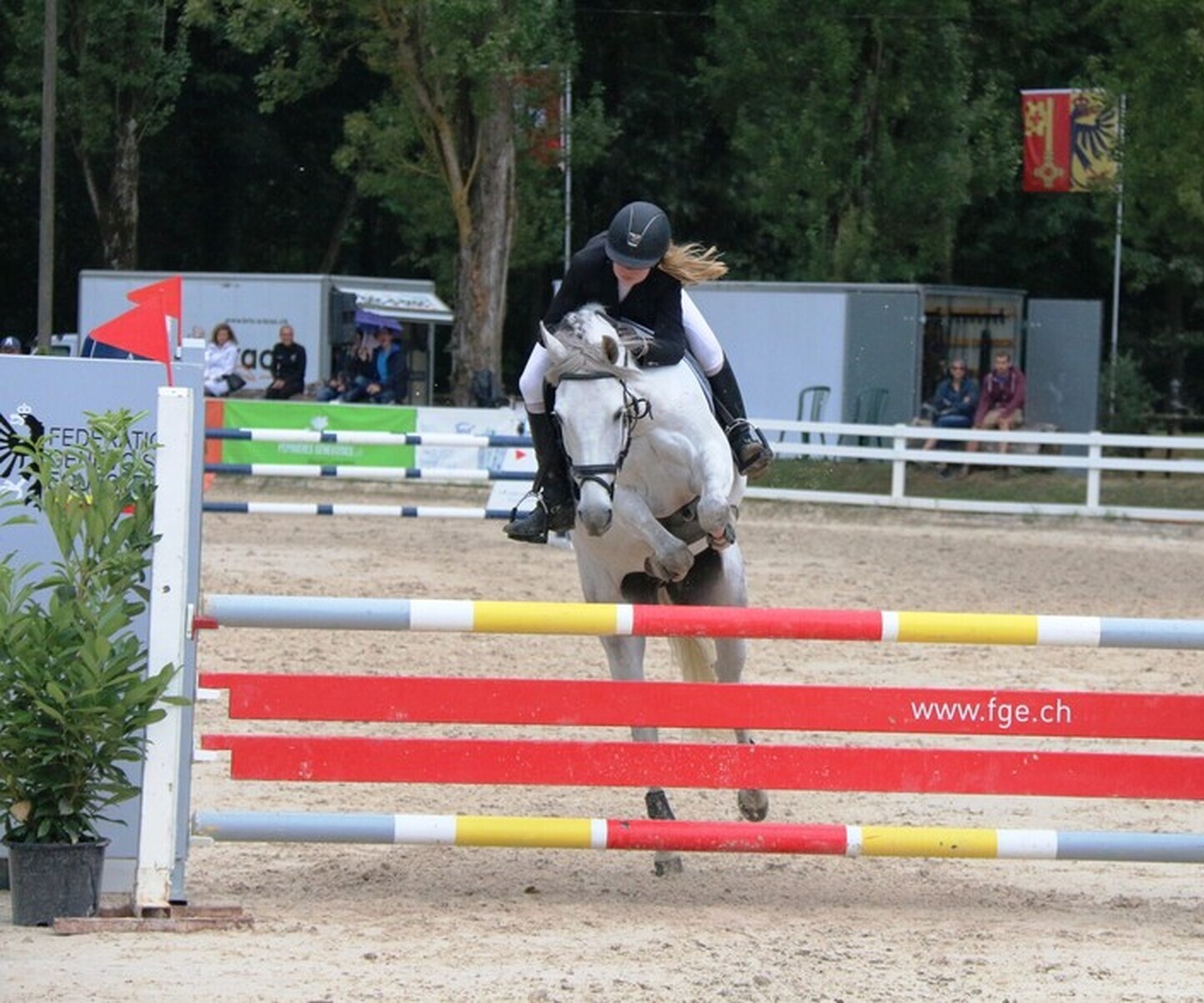 Description de l'image