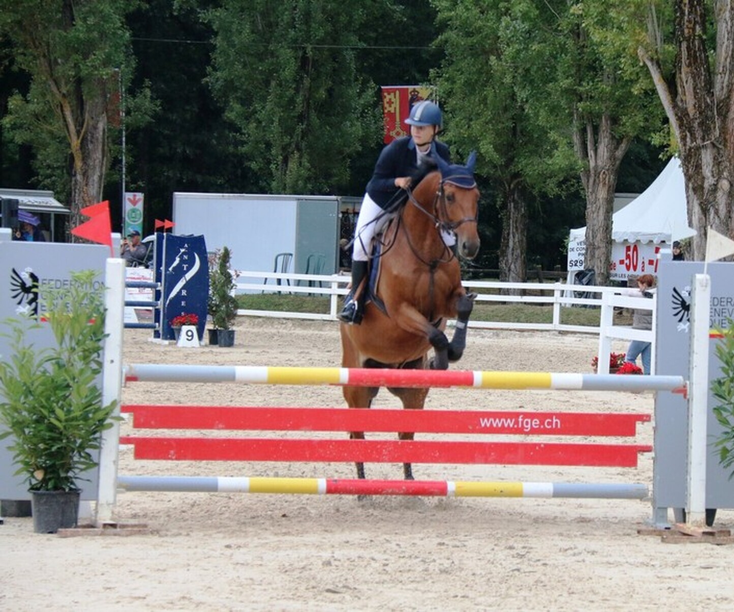 Description de l'image