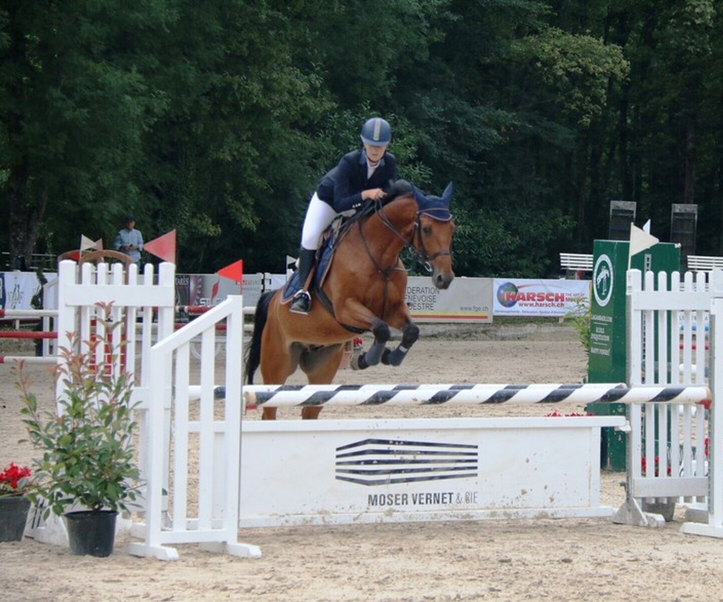 Description de l'image