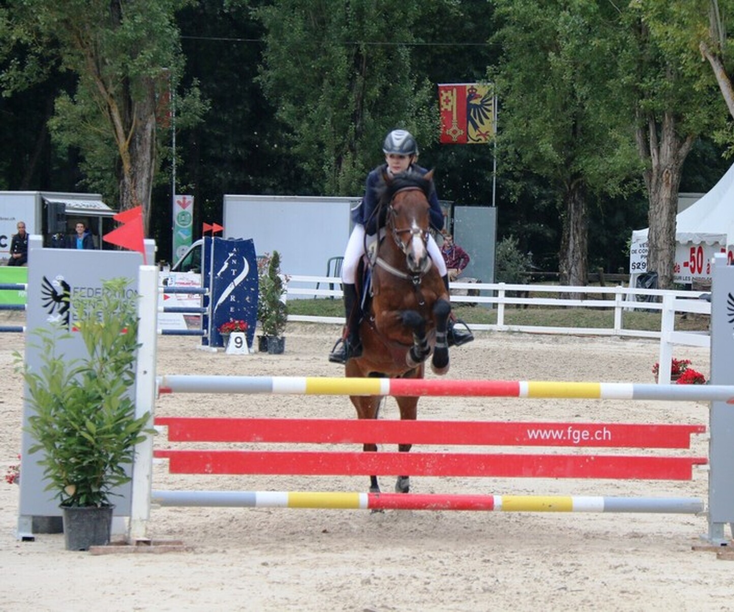 Description de l'image