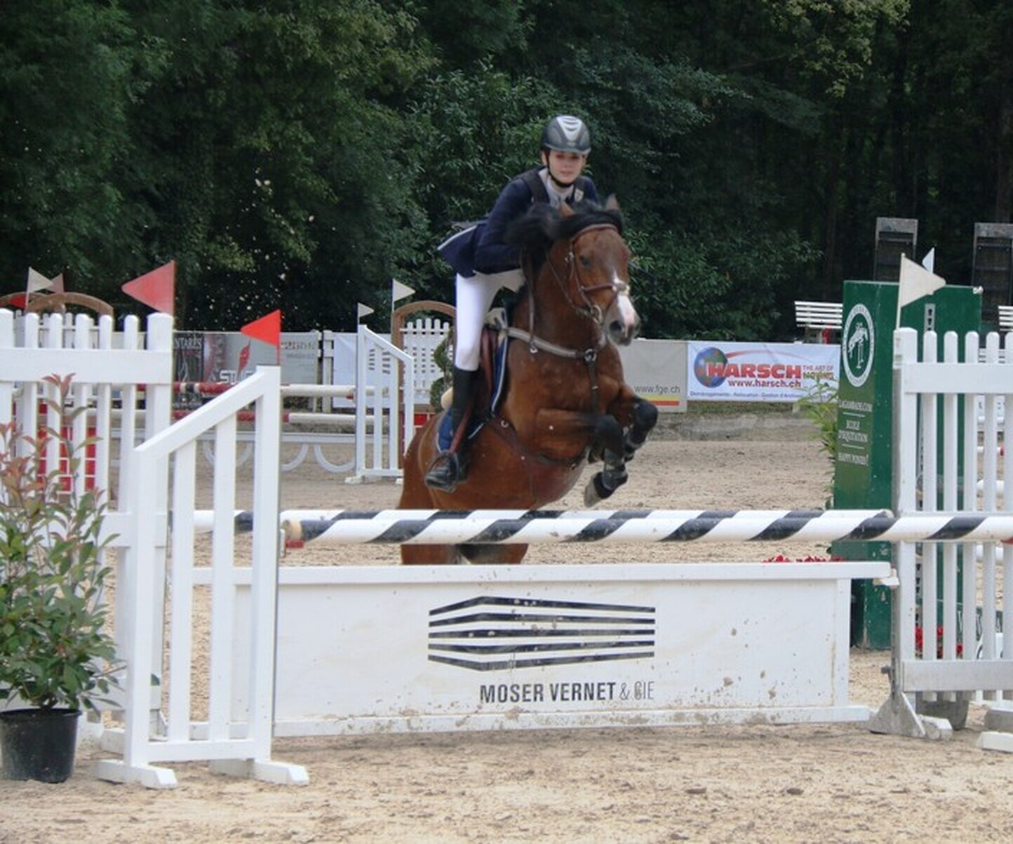 Description de l'image