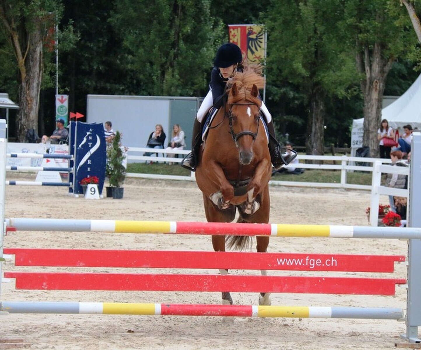 Description de l'image