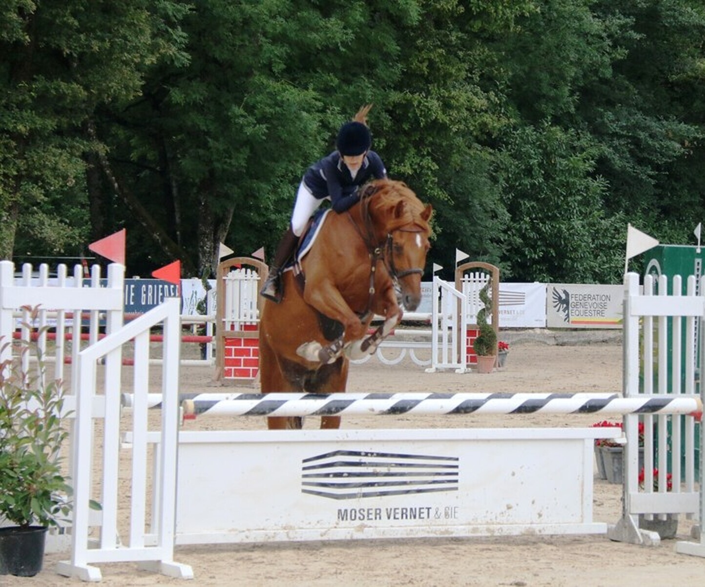 Description de l'image