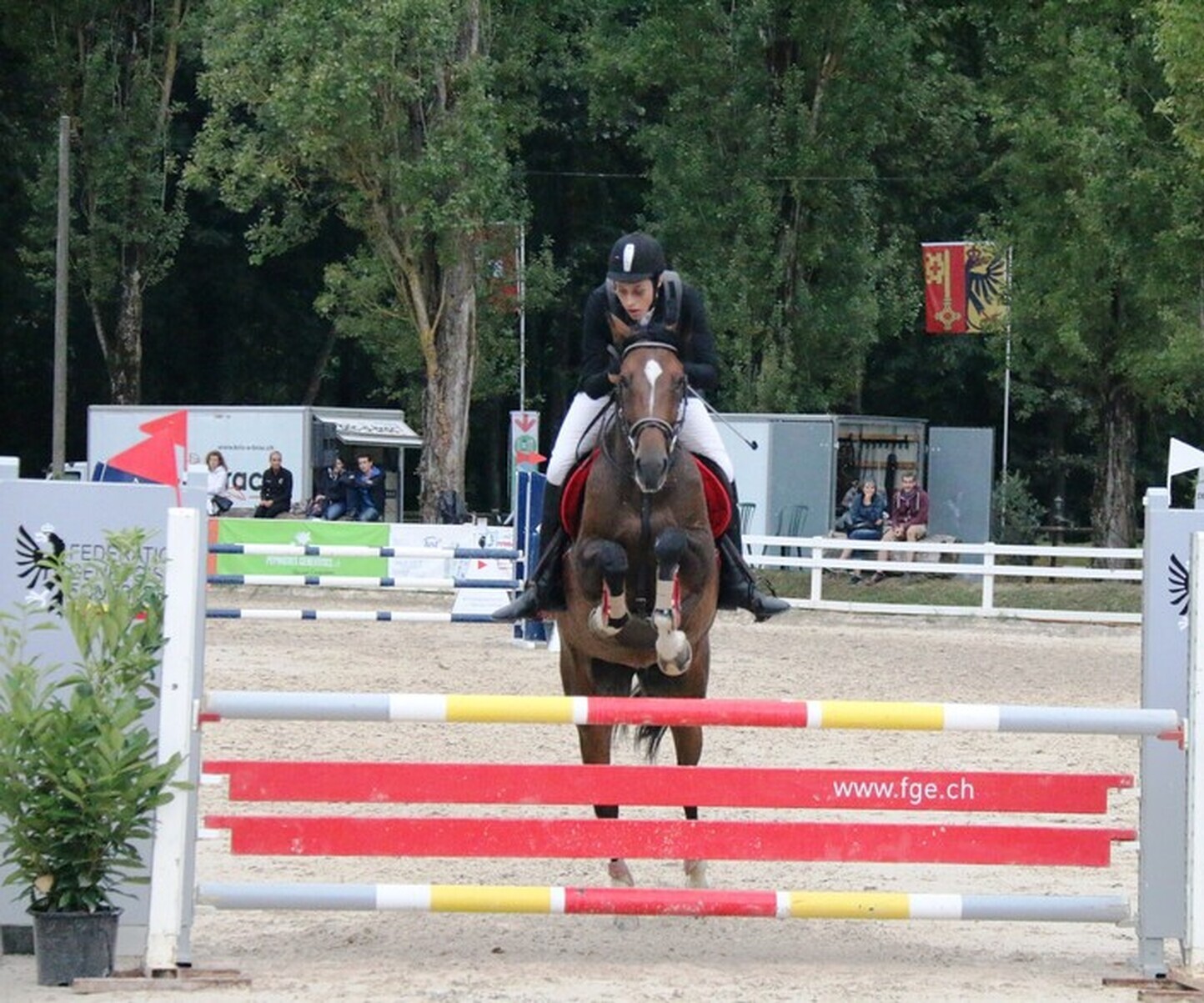 Description de l'image