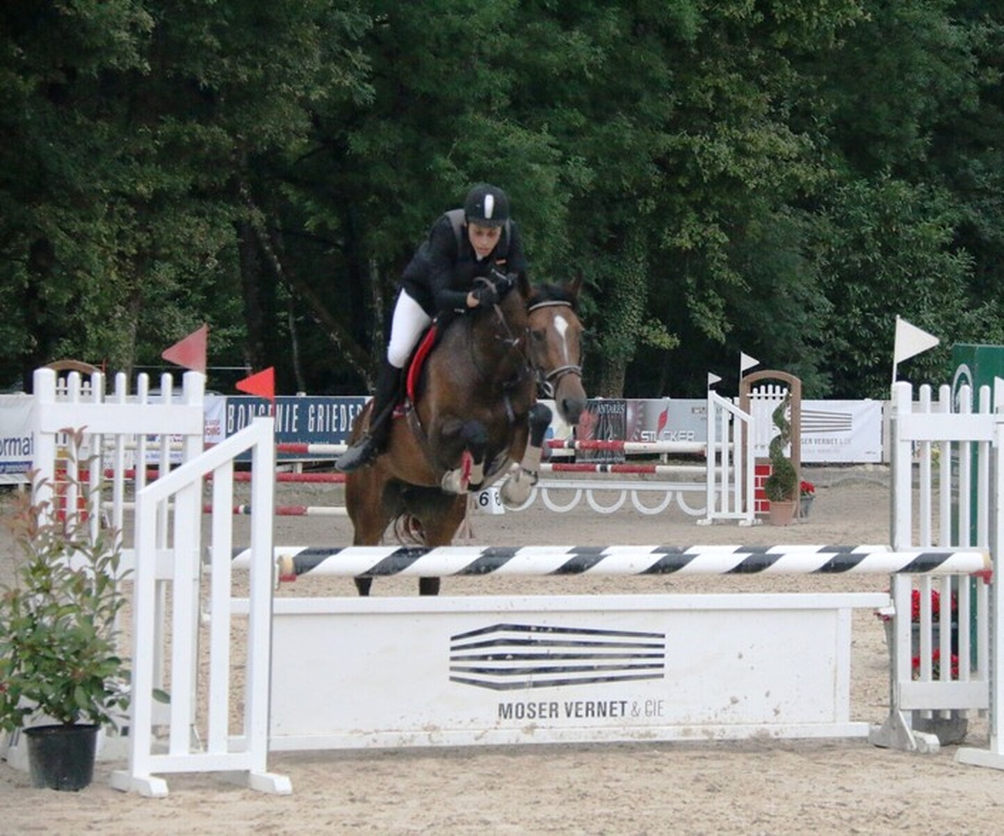 Description de l'image