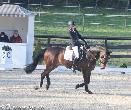 Dressage Evordes 2019