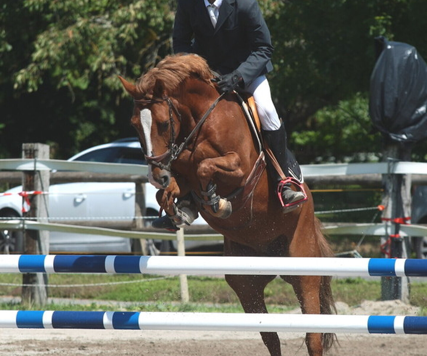 Description de l'image