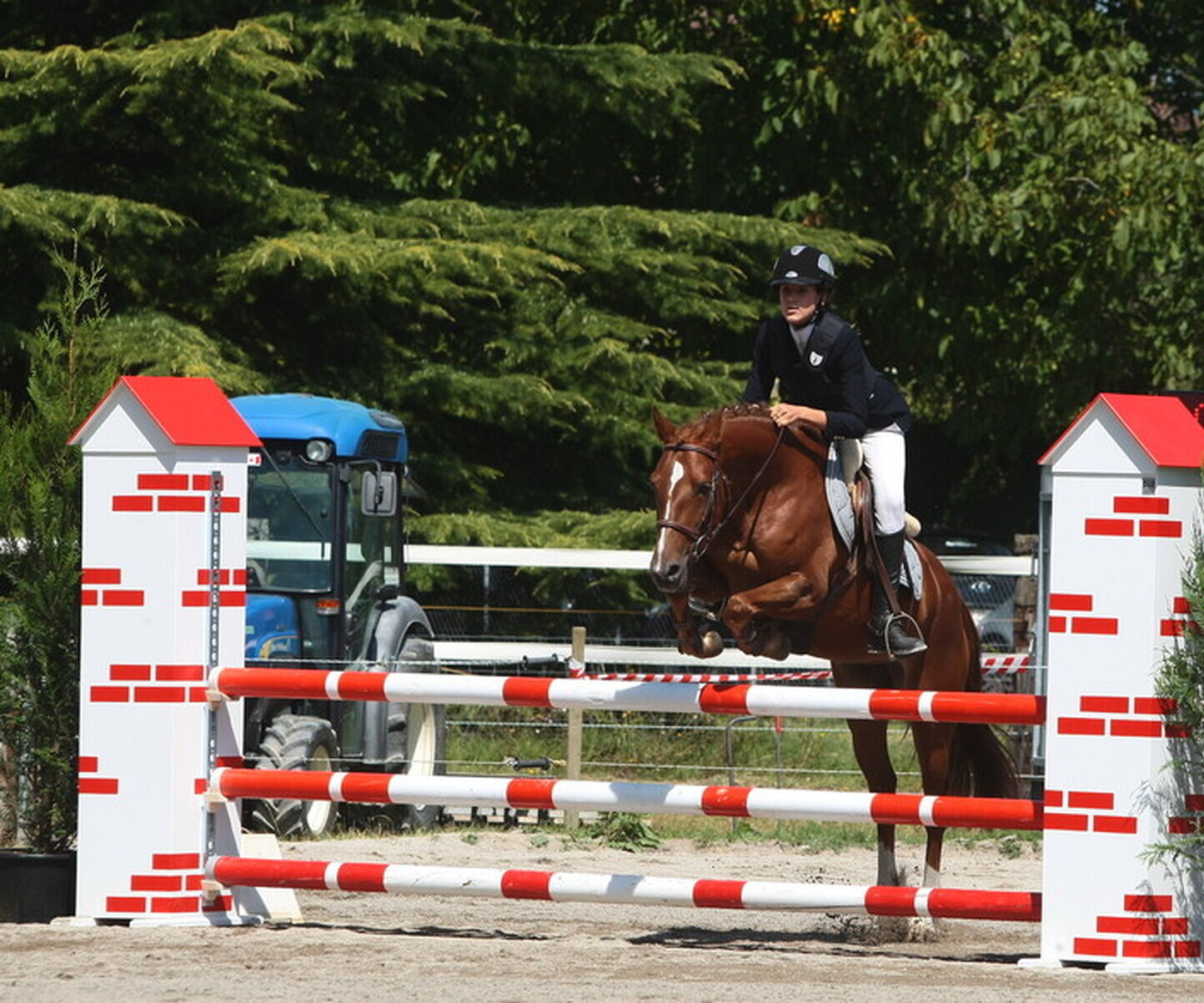 Description de l'image