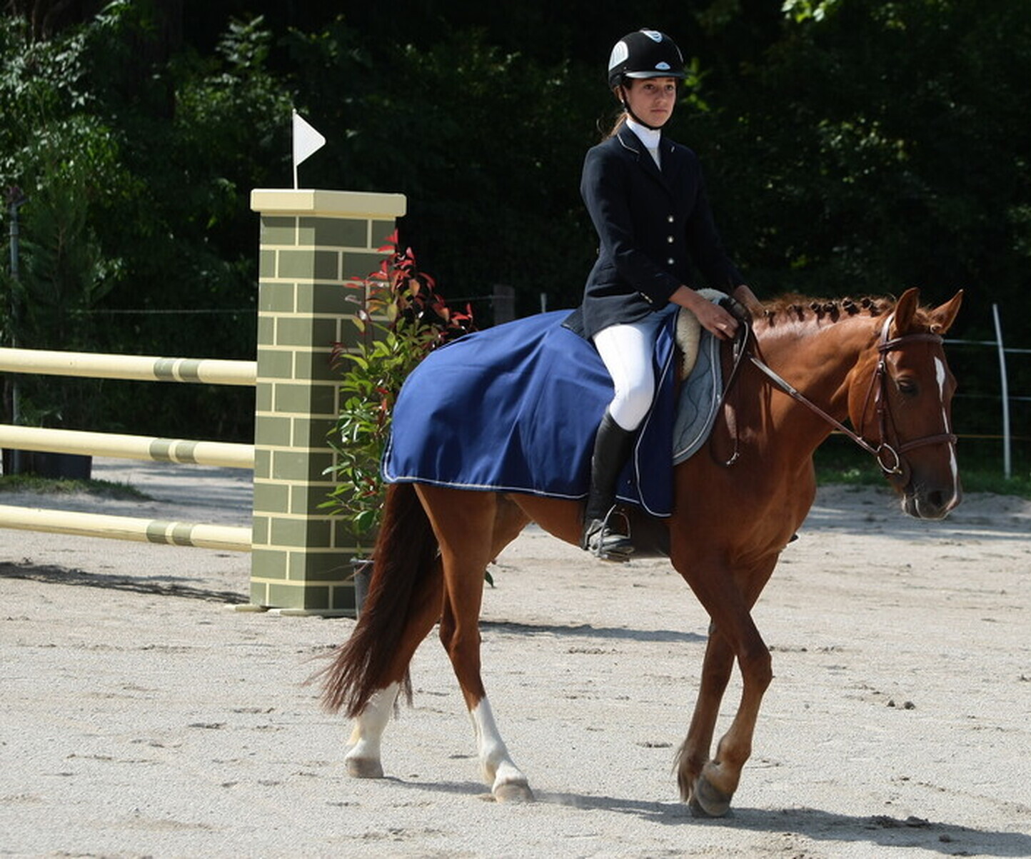 Description de l'image