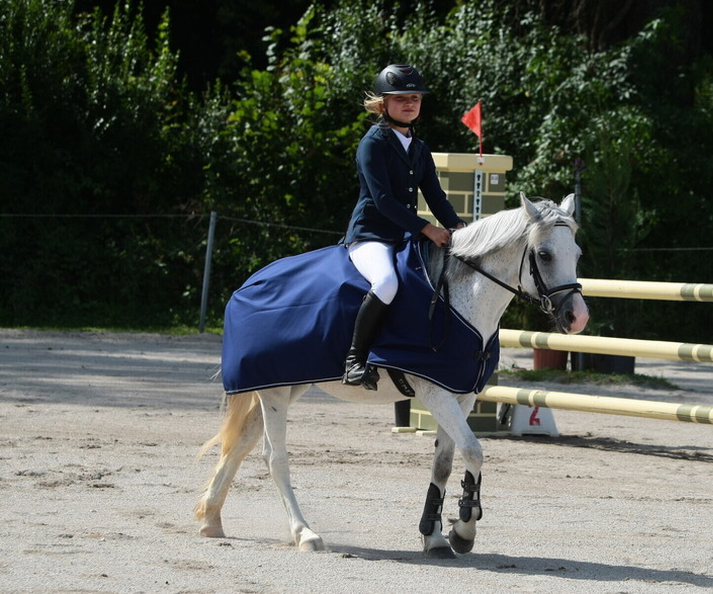 Description de l'image