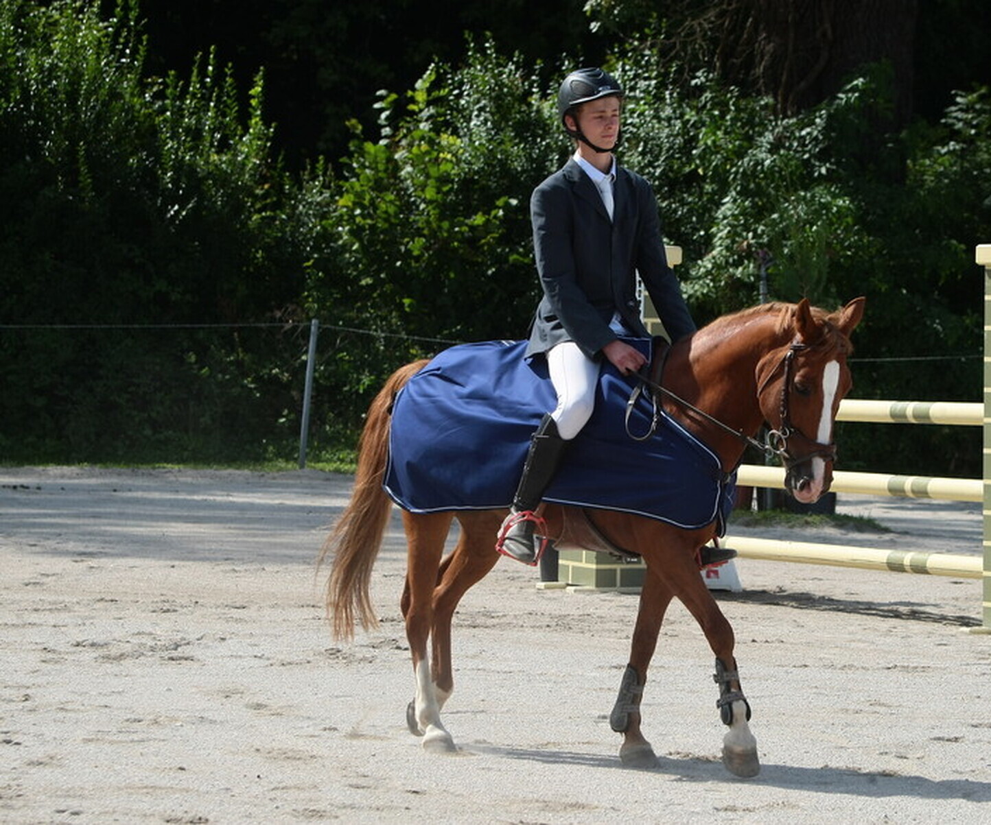 Description de l'image