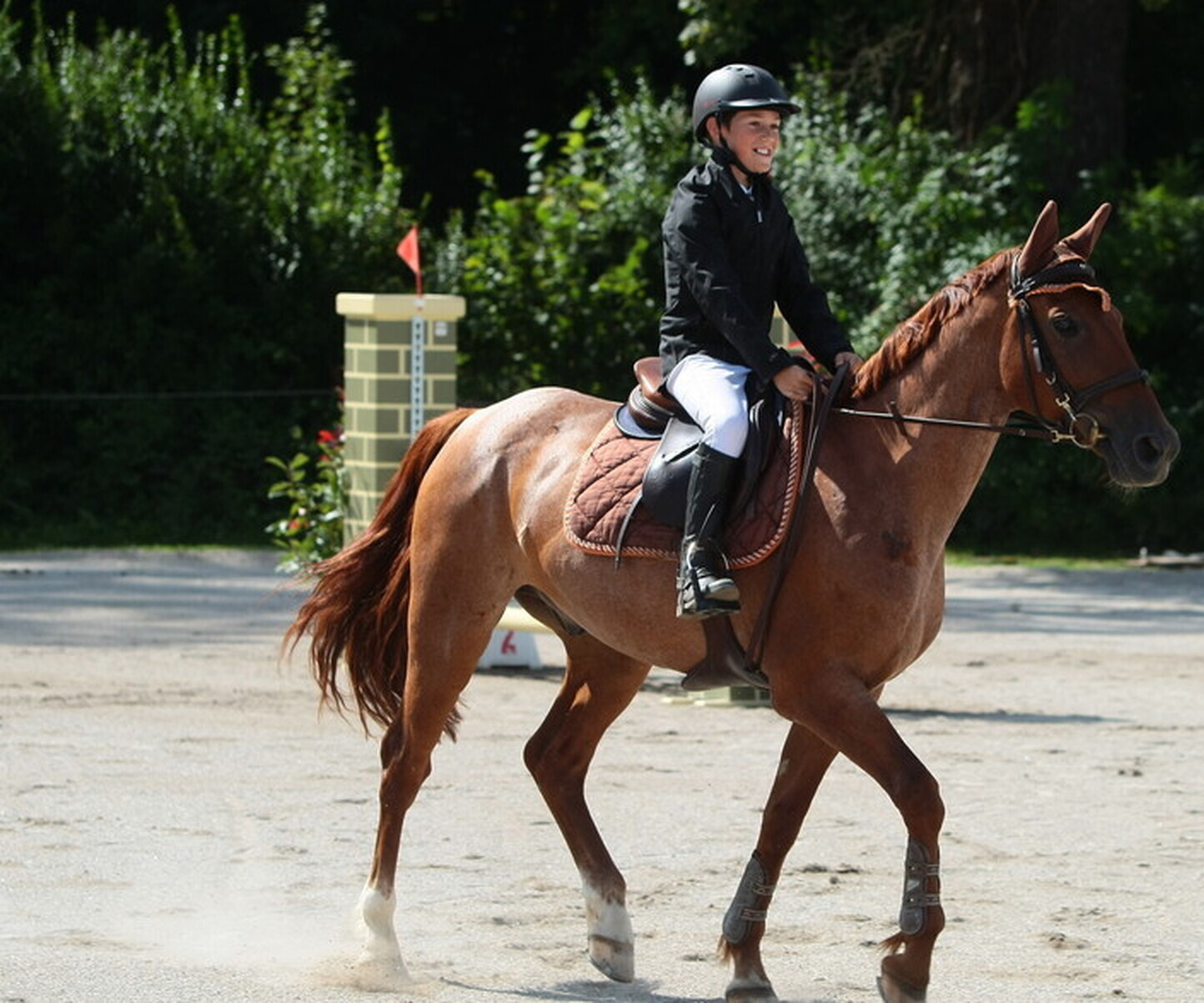 Description de l'image