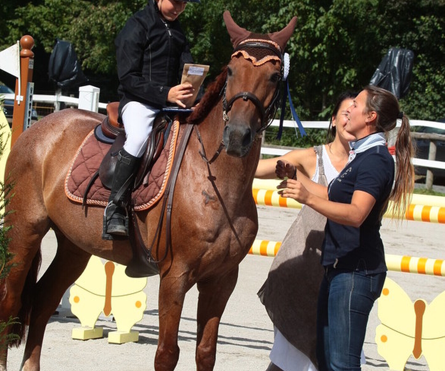 Description de l'image