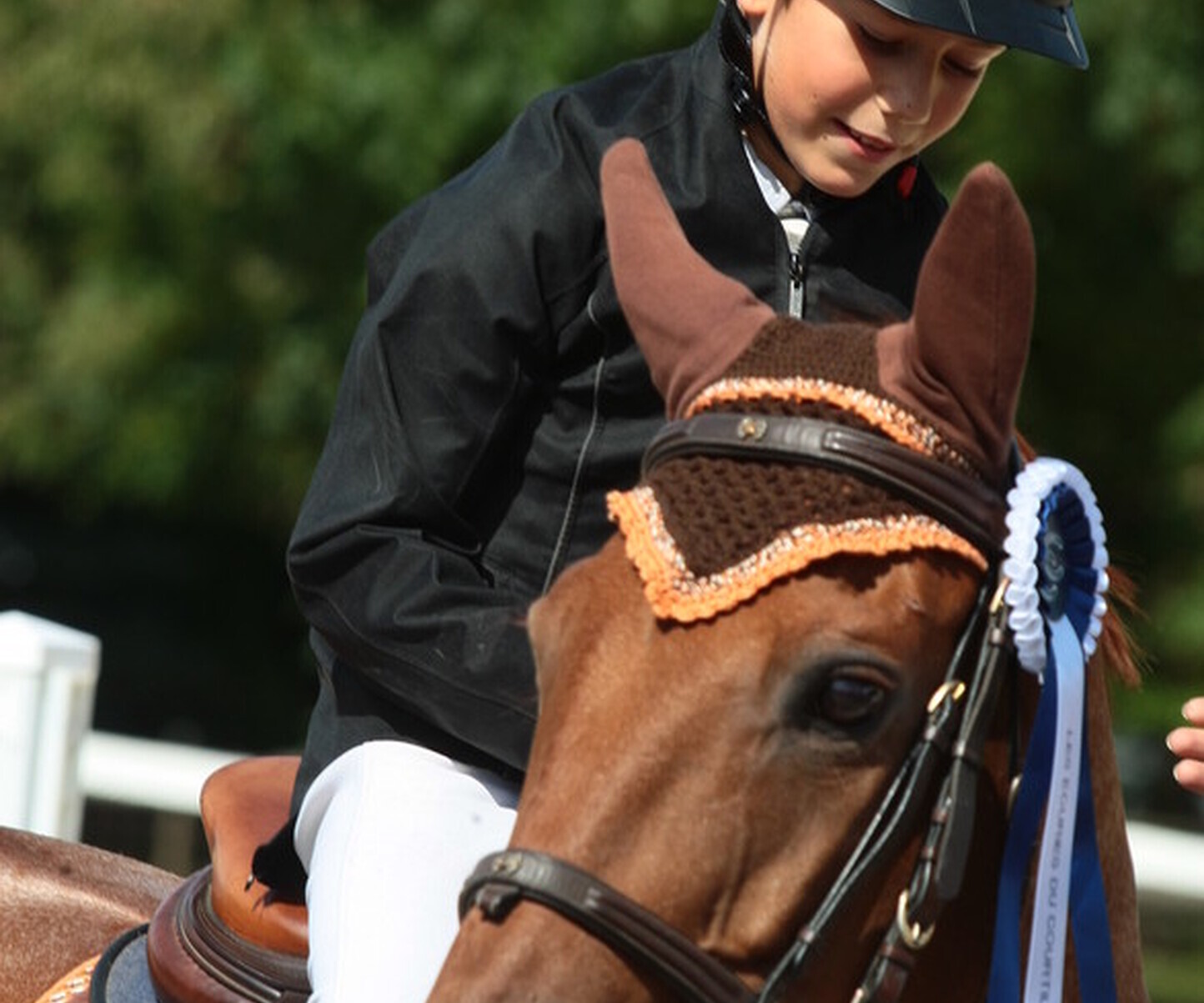 Description de l'image