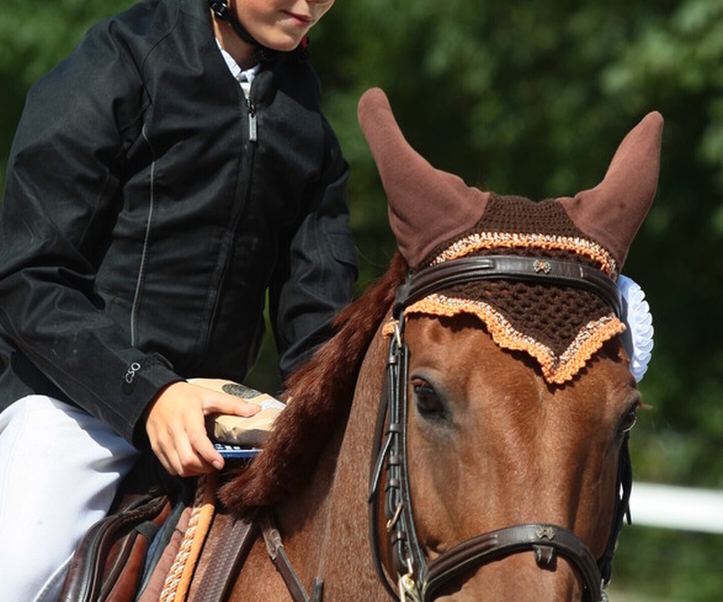 Description de l'image