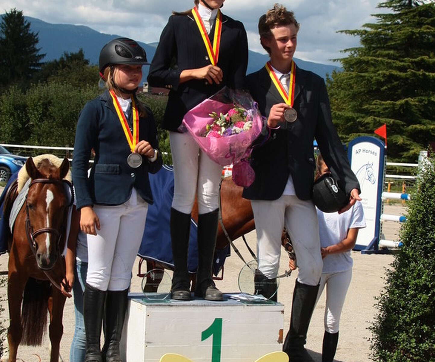 Description de l'image