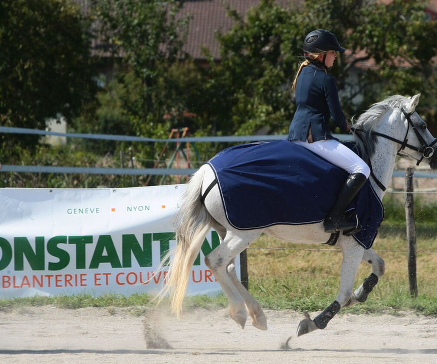 Description de l'image