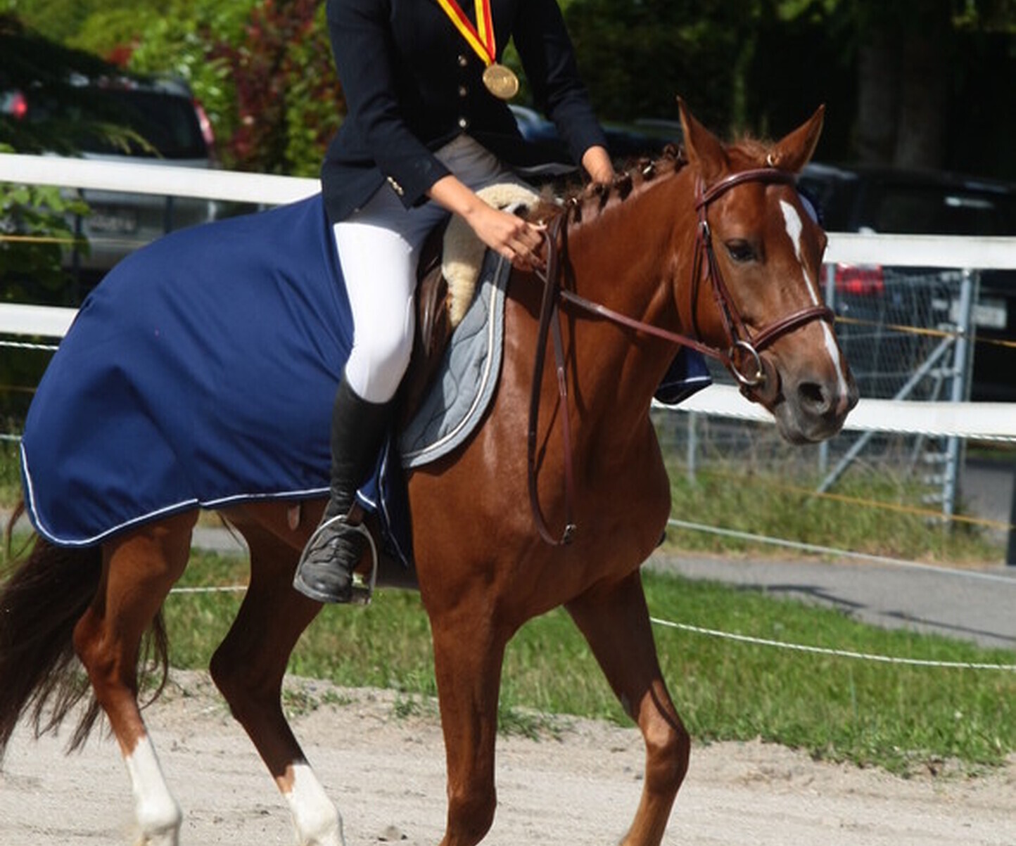 Description de l'image