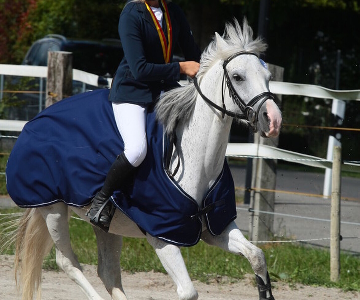 Description de l'image