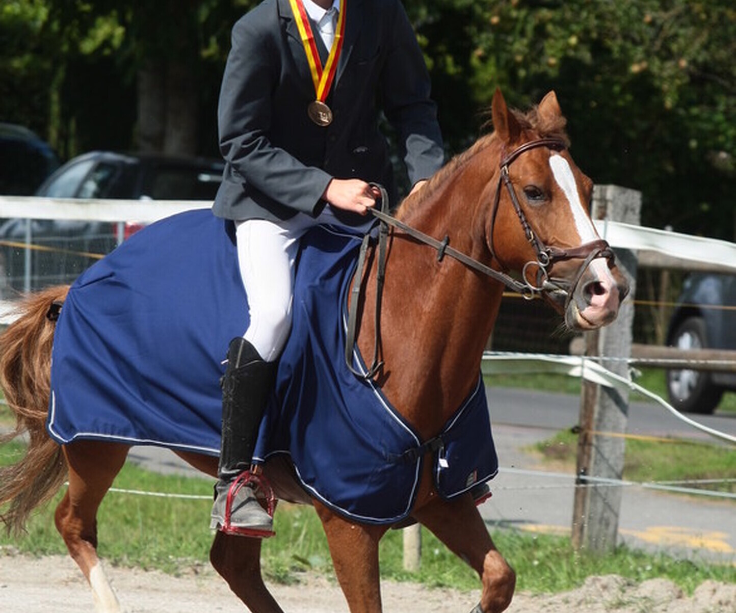 Description de l'image