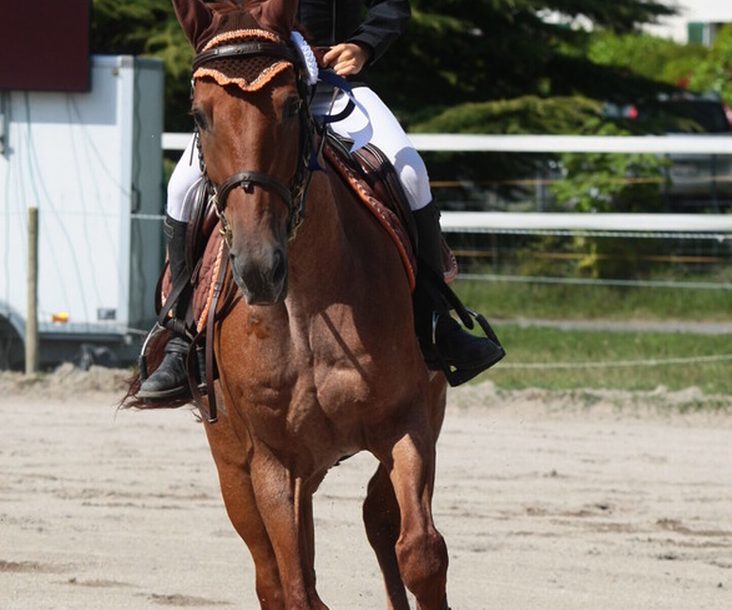 Description de l'image