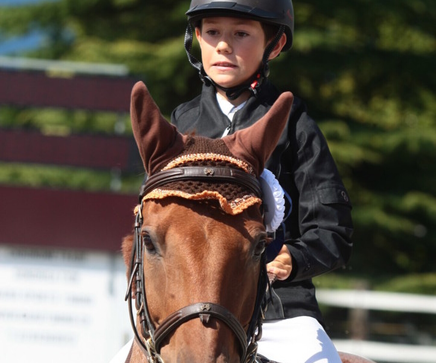 Description de l'image