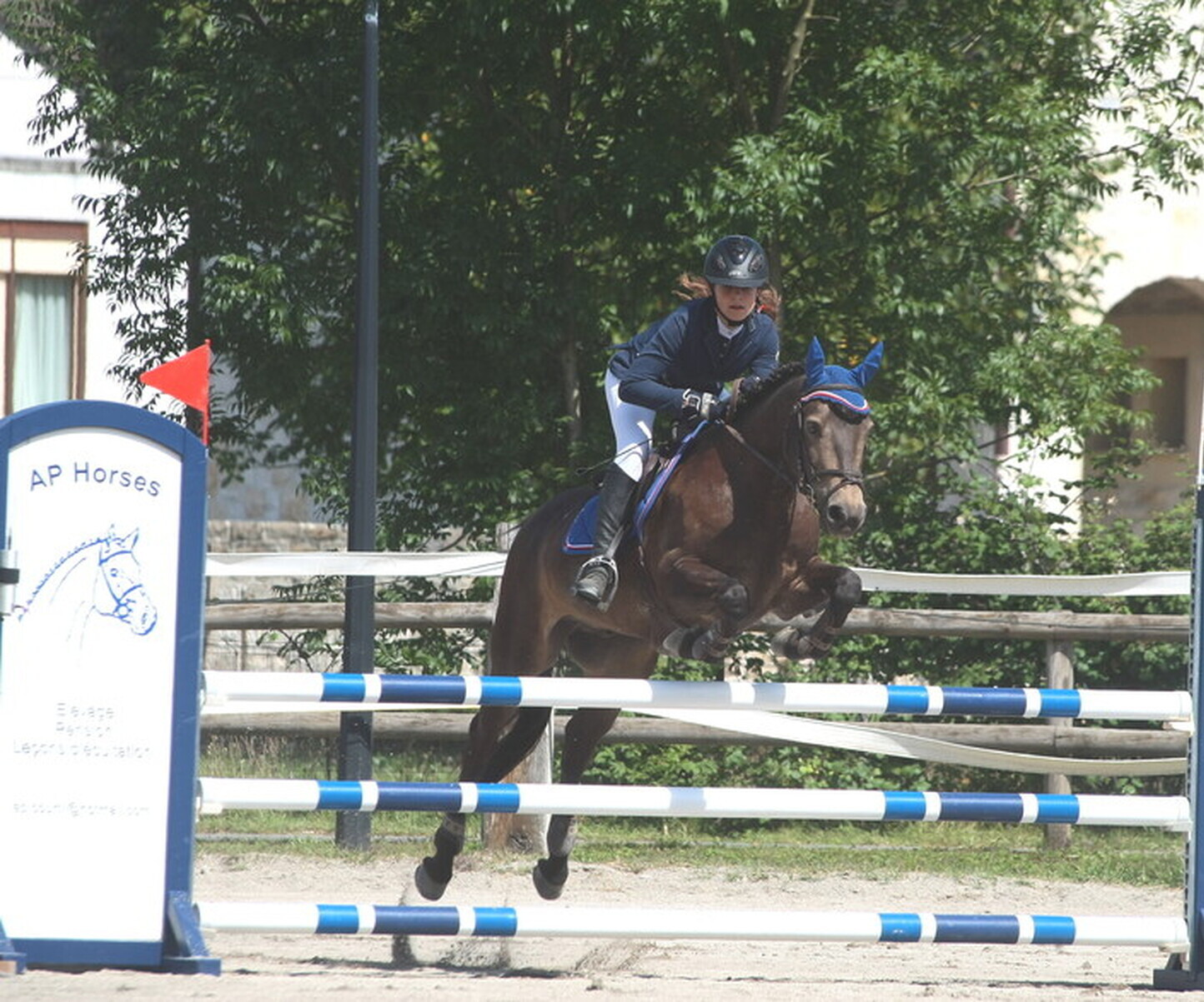 Description de l'image