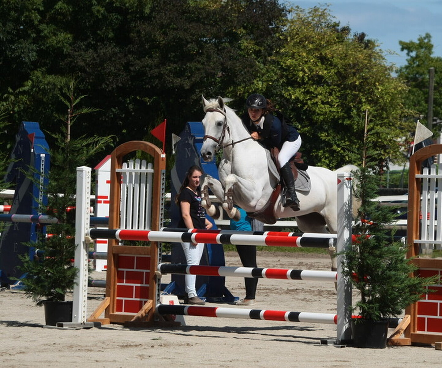 Description de l'image