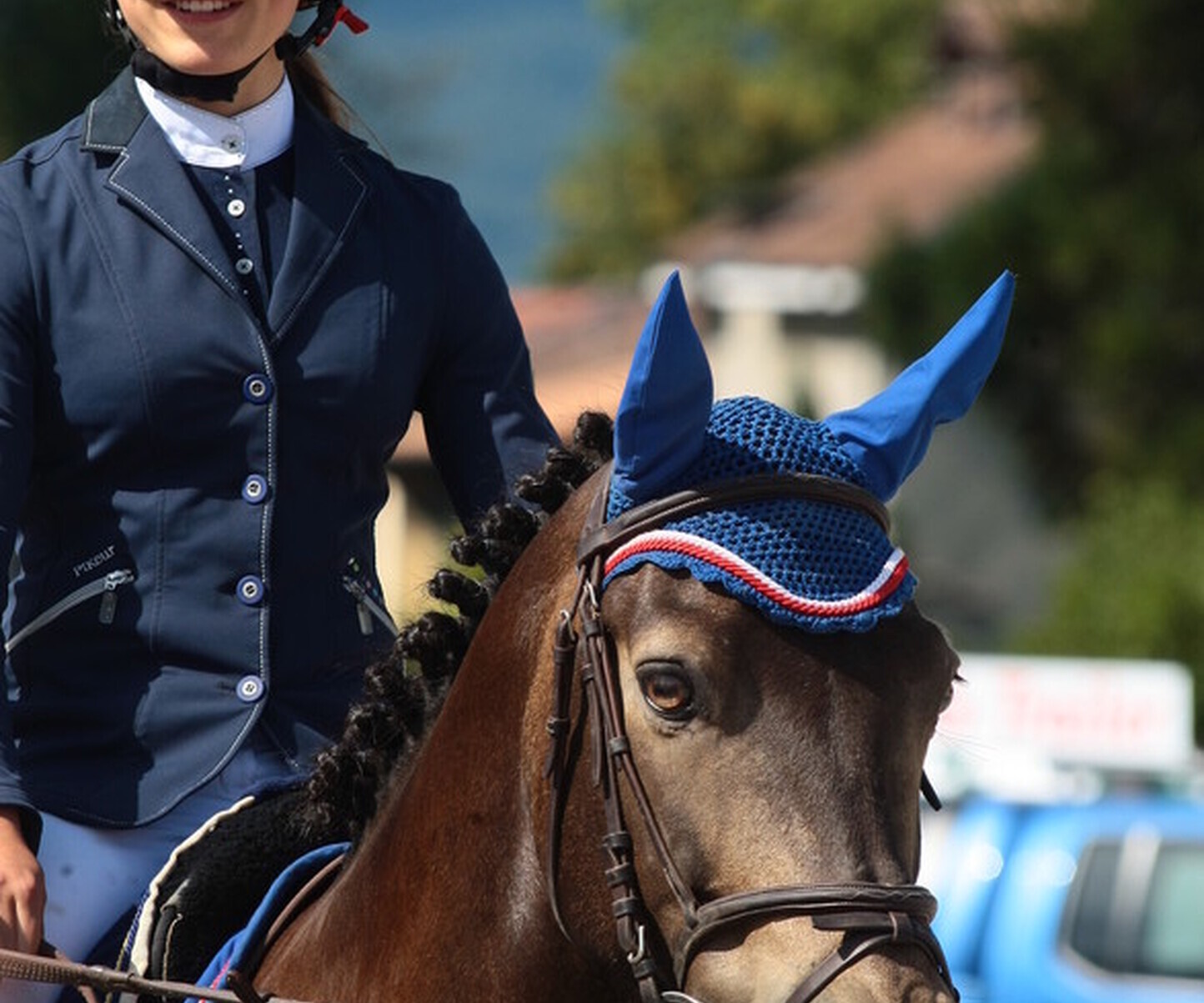 Description de l'image