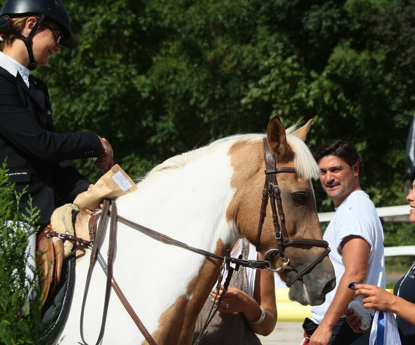 Description de l'image