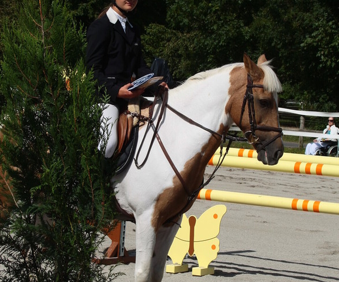 Description de l'image