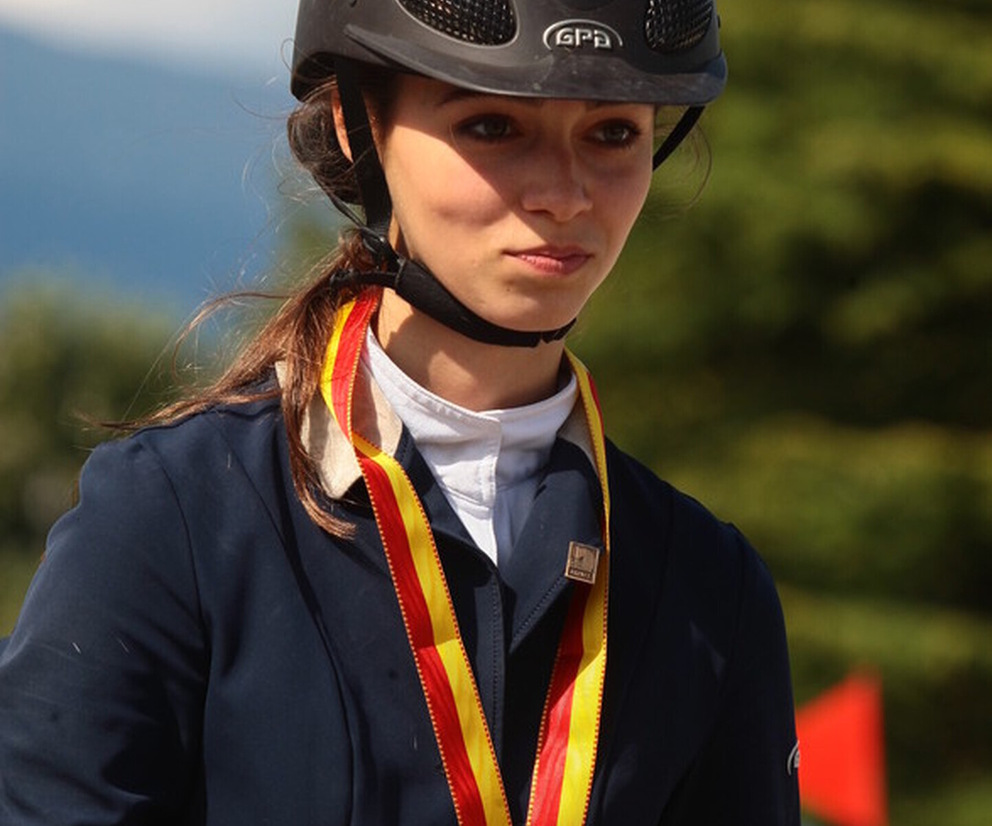 Description de l'image