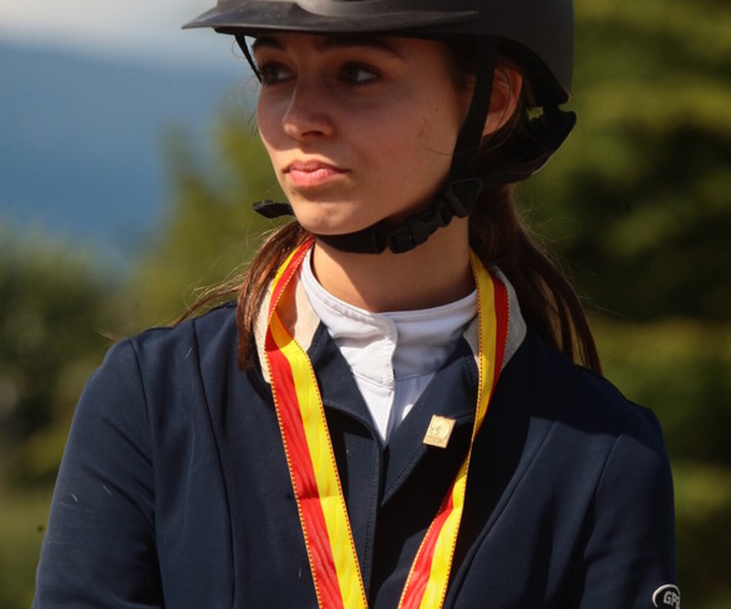 Description de l'image