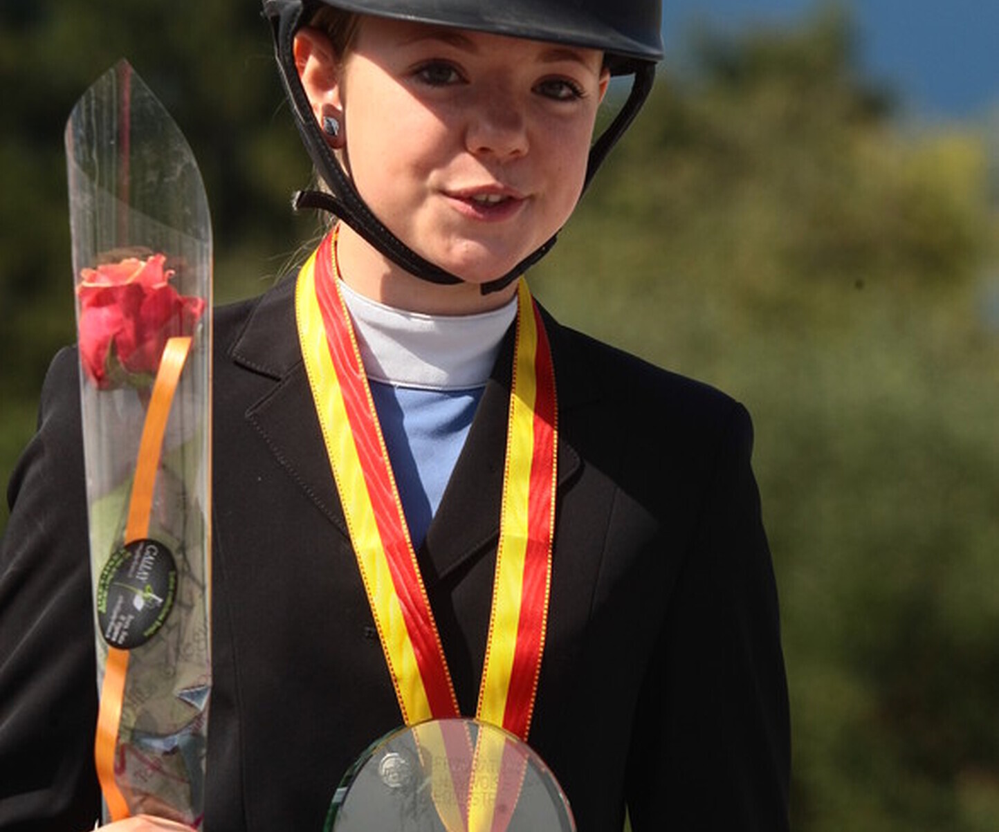 Description de l'image