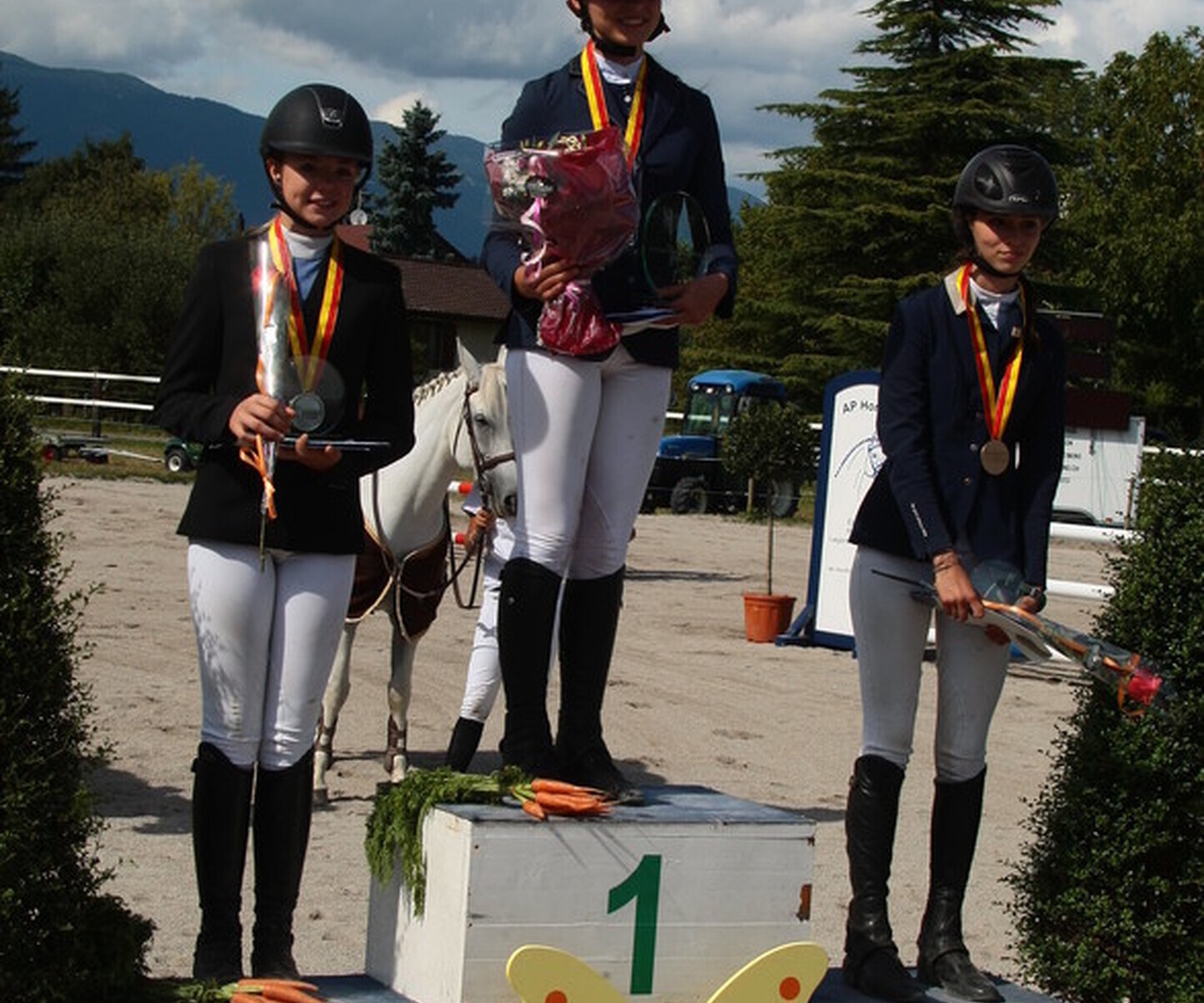 Description de l'image