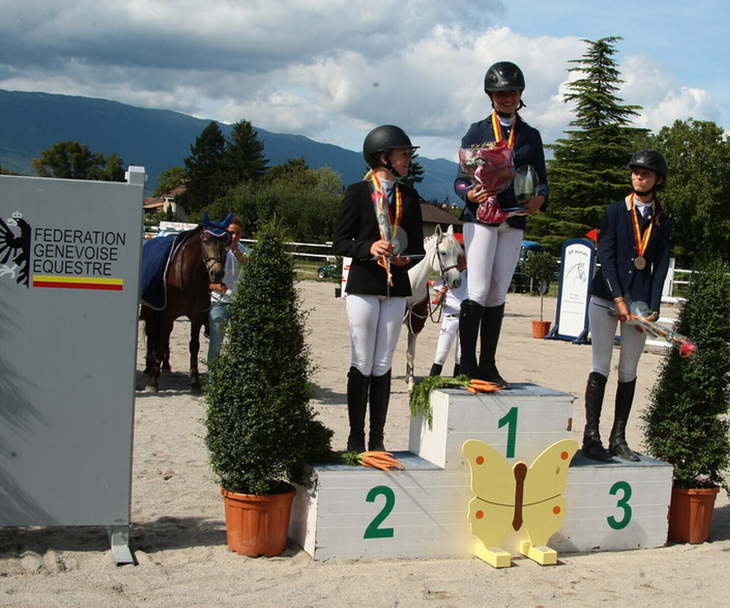 Description de l'image