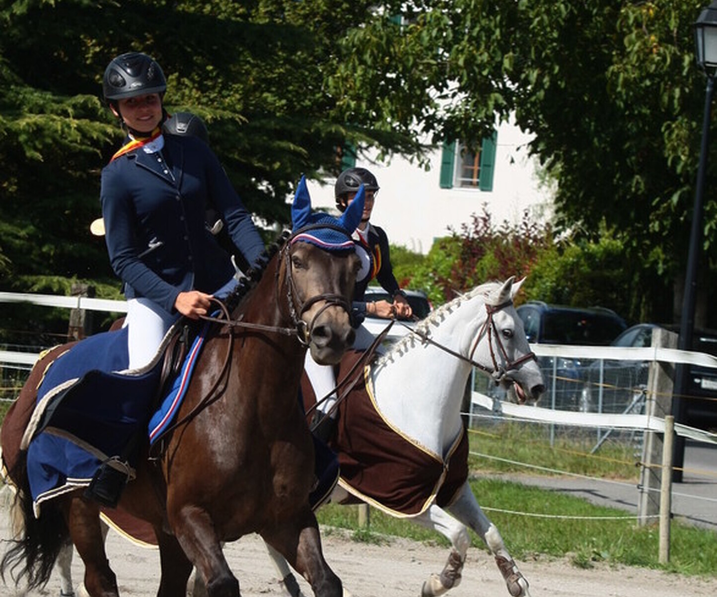 Description de l'image