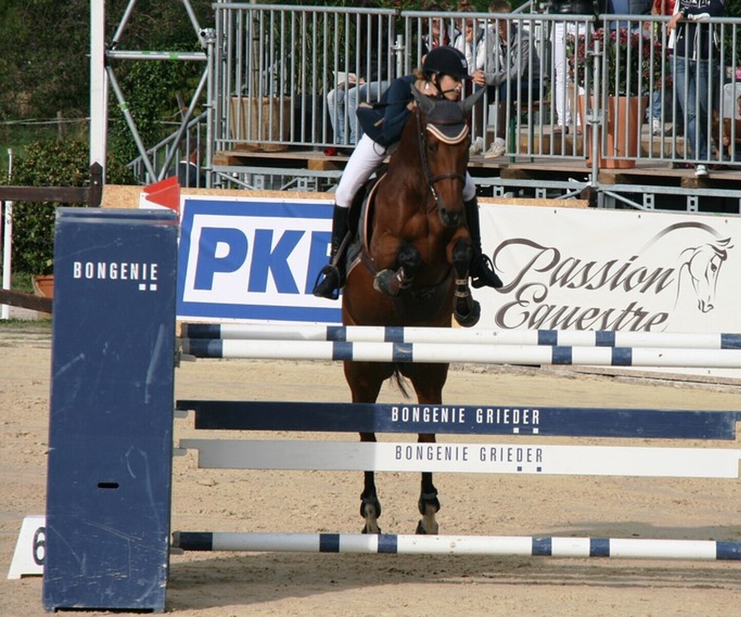 Description de l'image