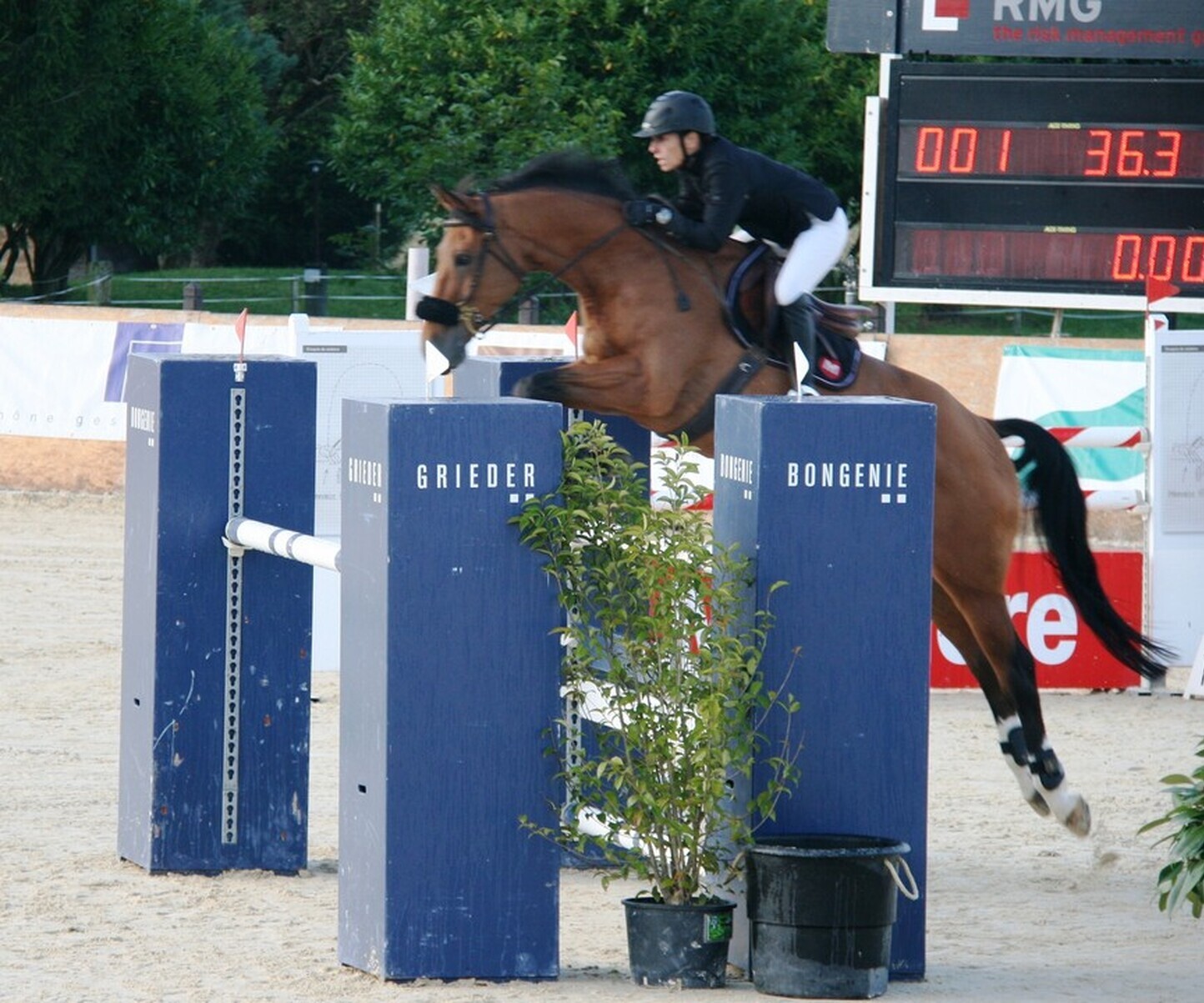 Description de l'image