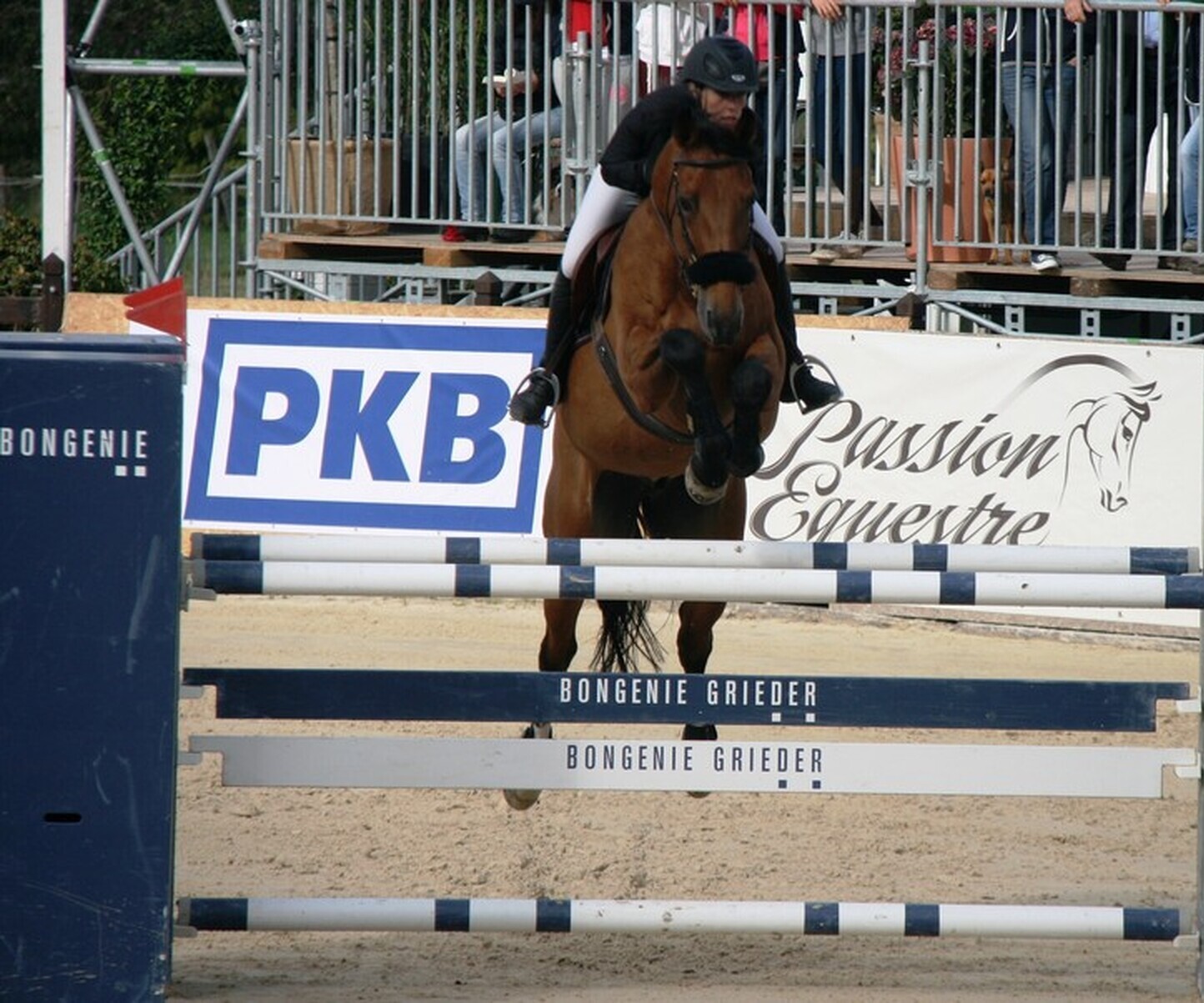 Description de l'image