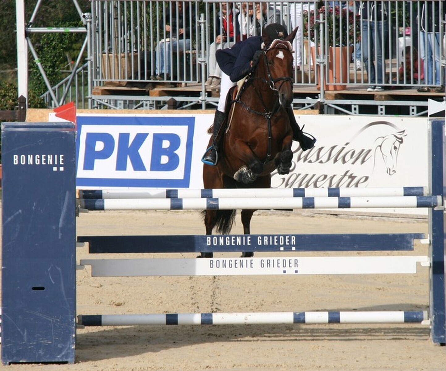 Description de l'image