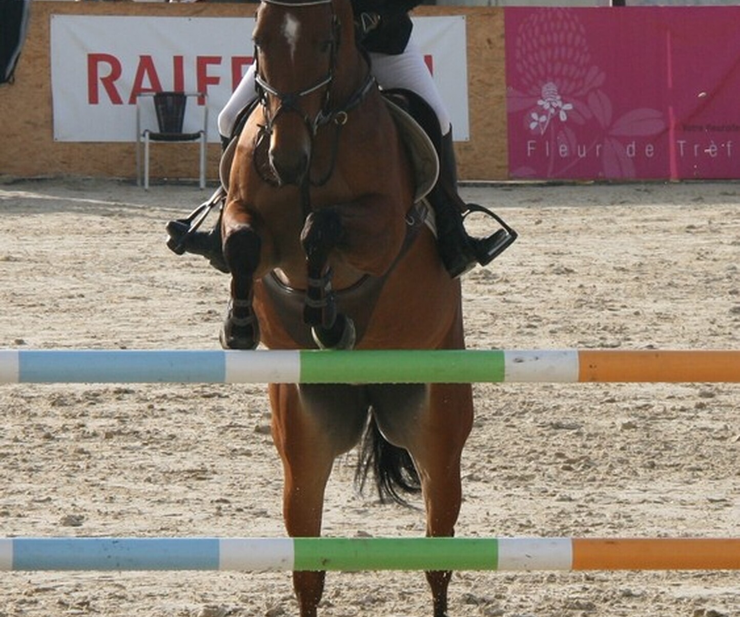 Description de l'image