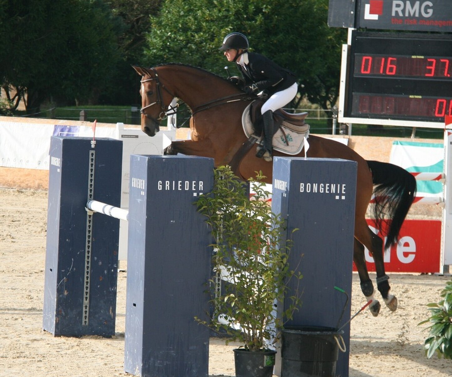 Description de l'image