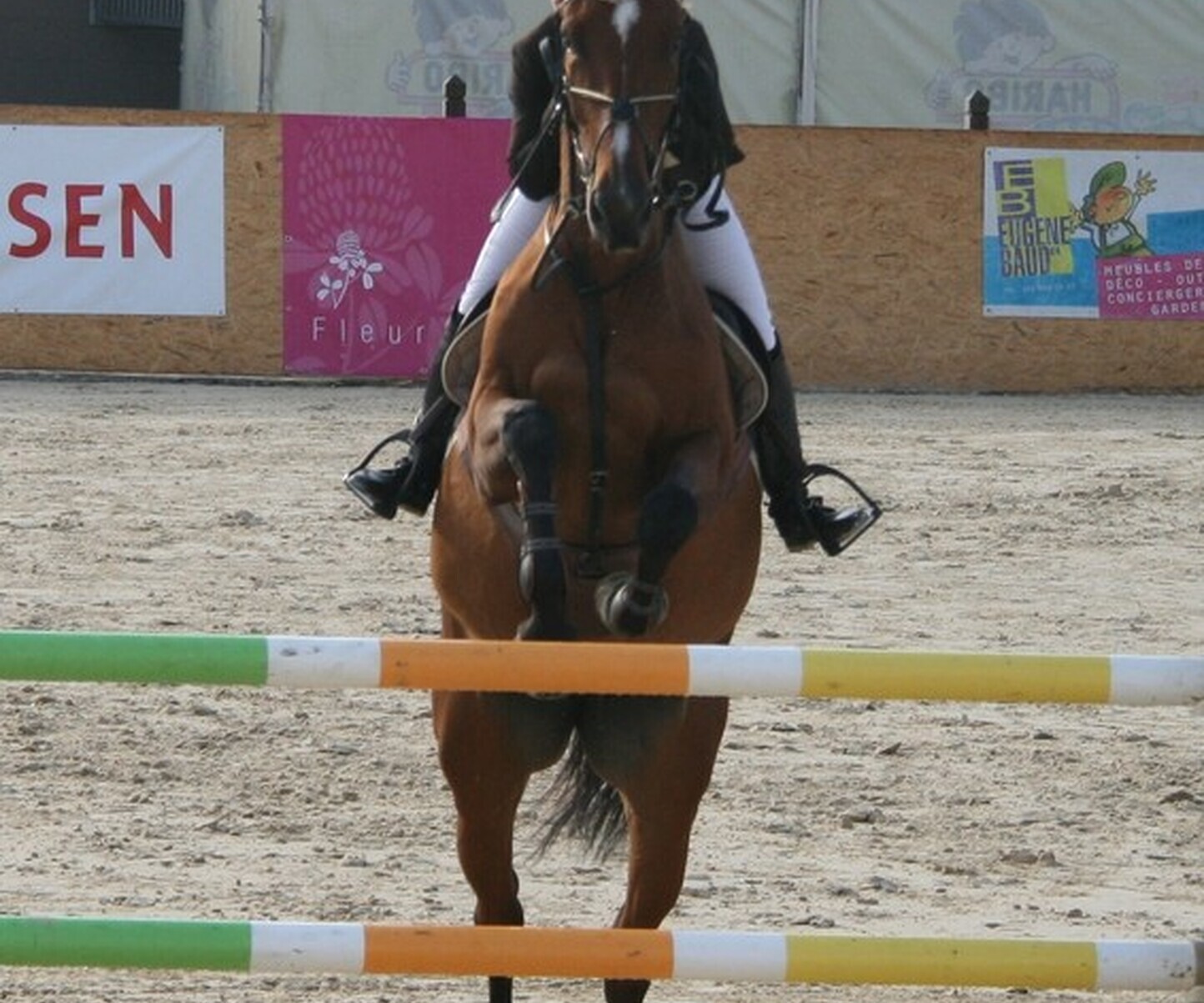 Description de l'image