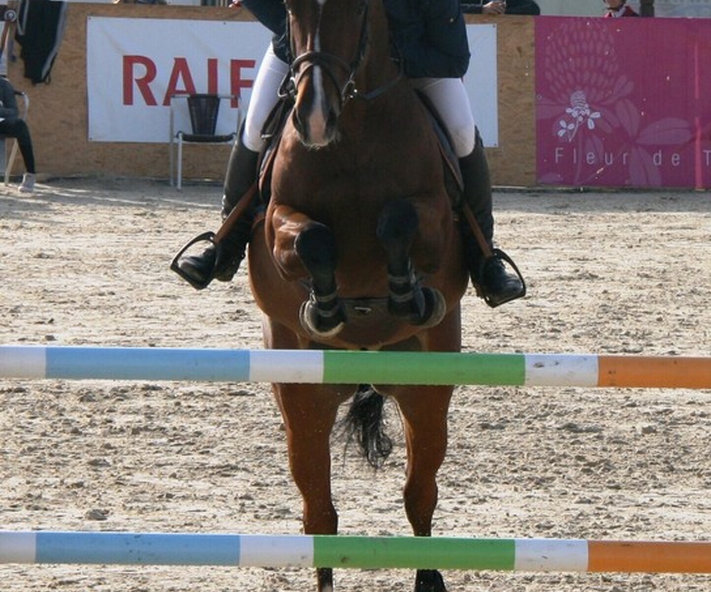 Description de l'image