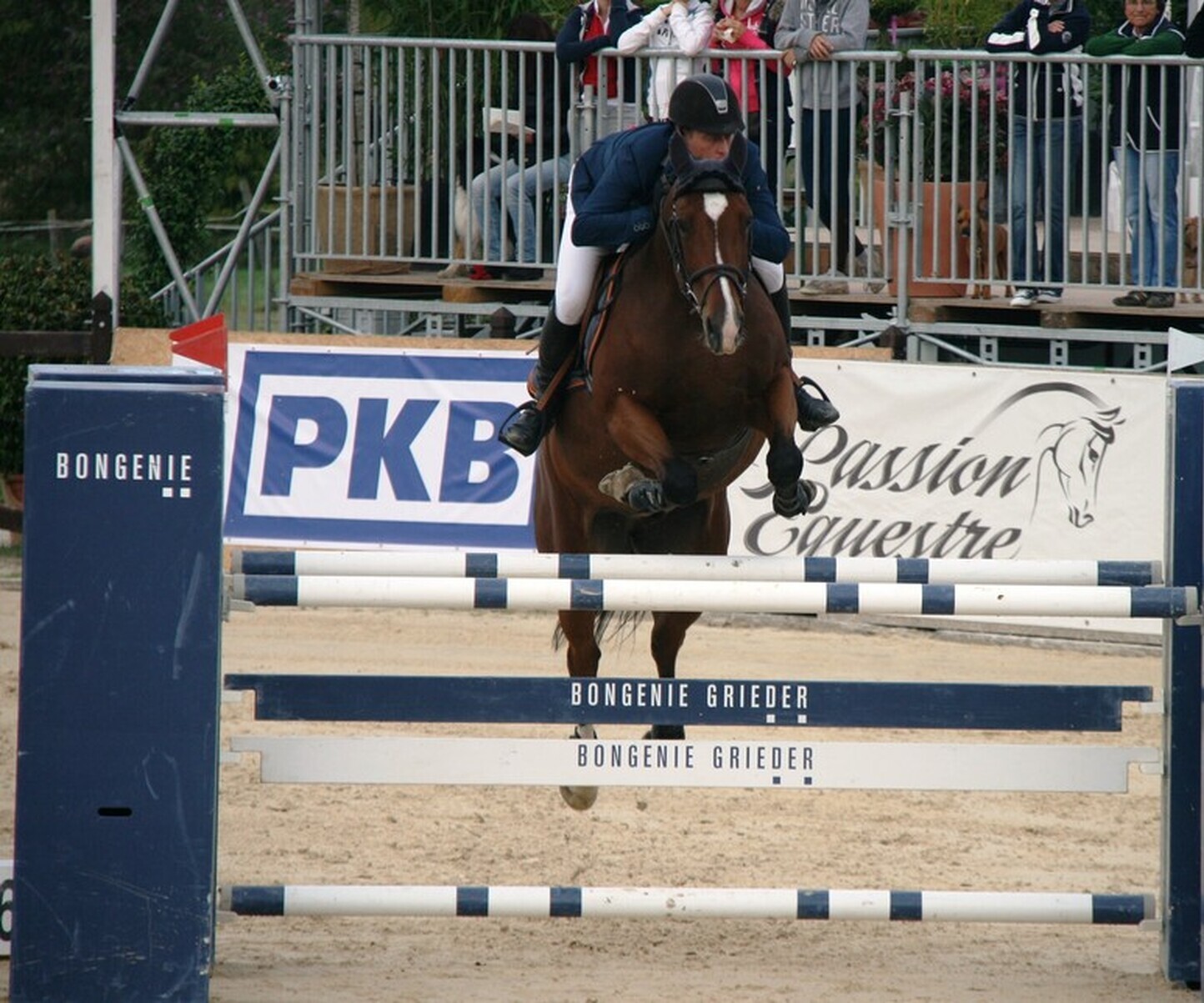 Description de l'image