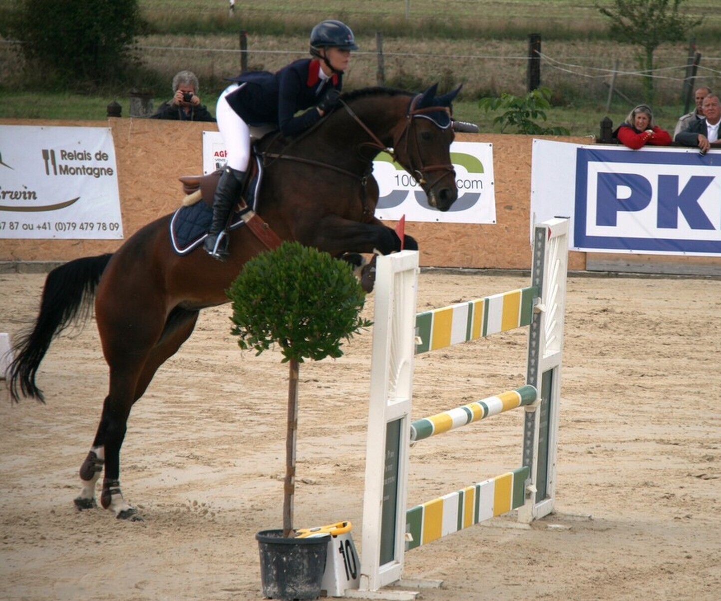 Description de l'image