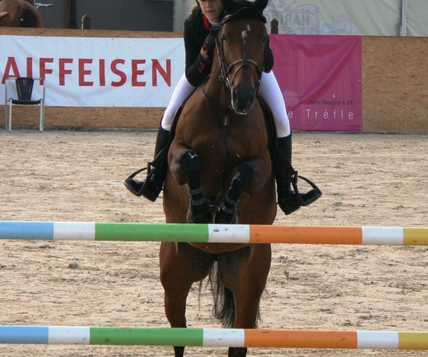 Description de l'image