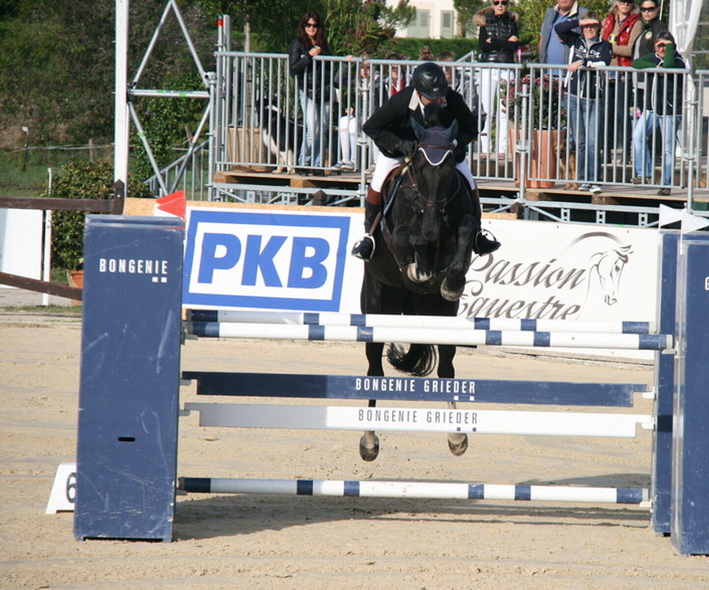 Description de l'image